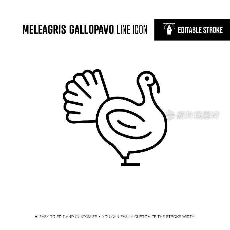 Meleagris Gallopavo线图标-可编辑的描边